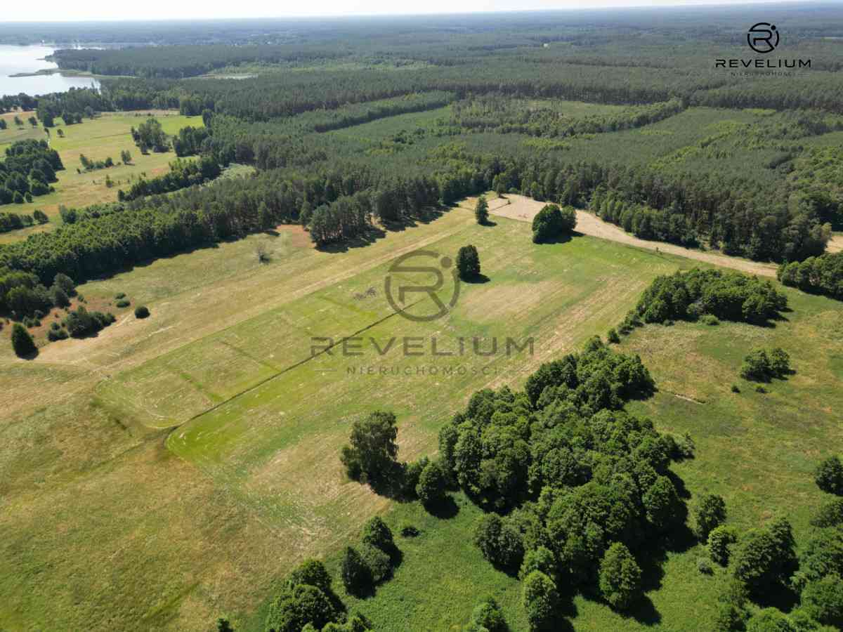 DZIAŁKA NA TERENACH LEŚNYCH|BLISKO JEZIORA|KAPITAŁ - zdjęcie 2