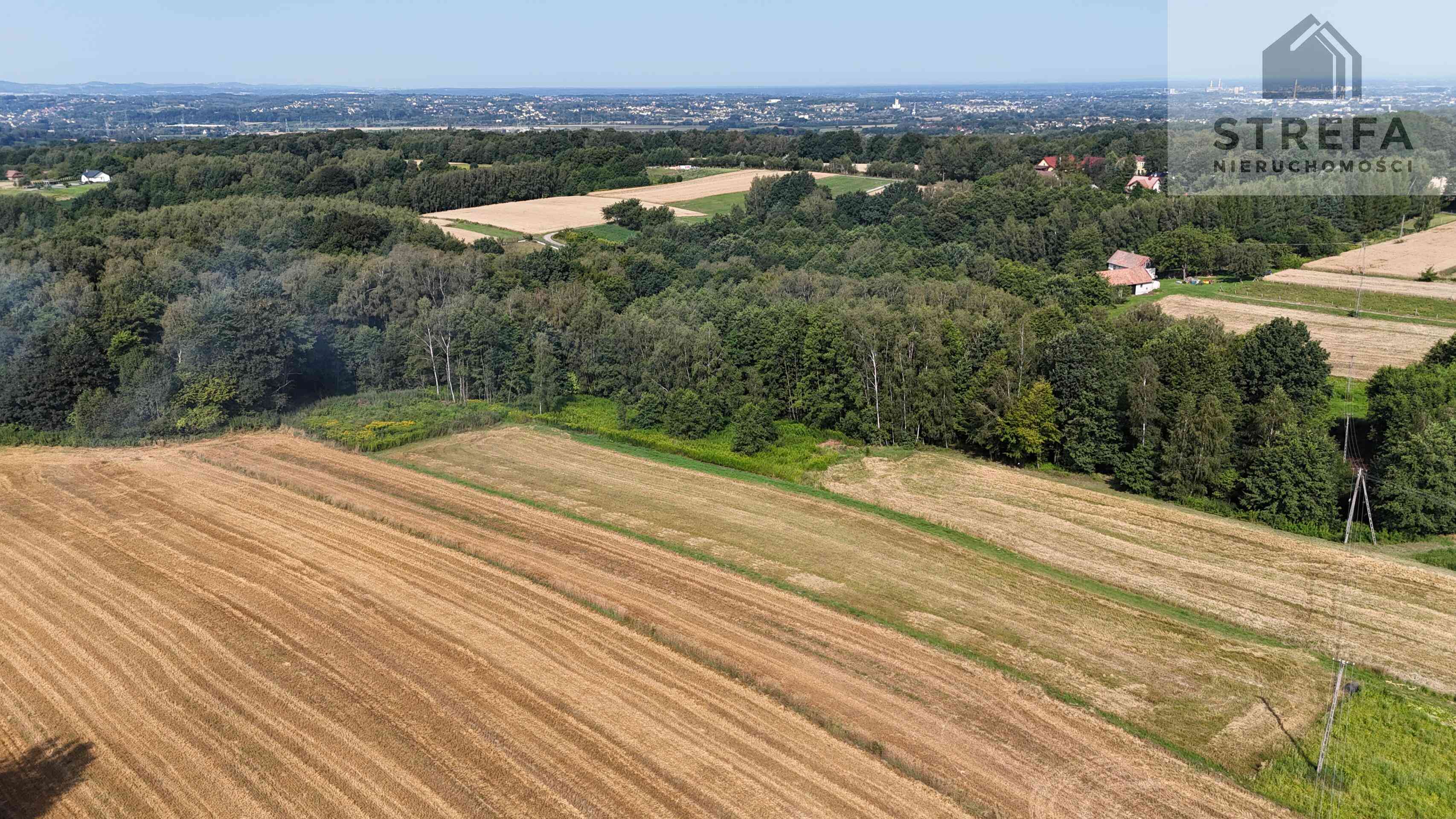 Duża działka budowlano-zagrodowa (37,75 ara) – Poręba Radlna k. Tarnowa - zdjęcie 4