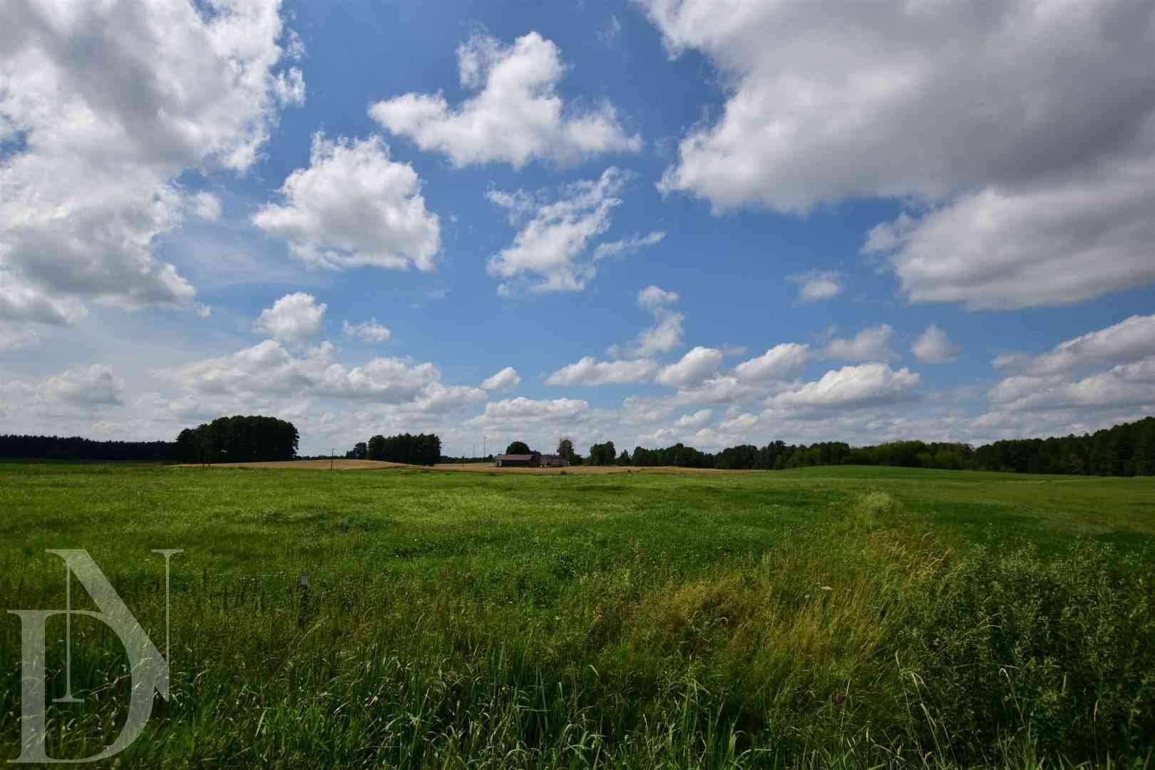 Działki 11095 m² koło Jeziora Dręstwo NOWA CENA!!! - zdjęcie 9