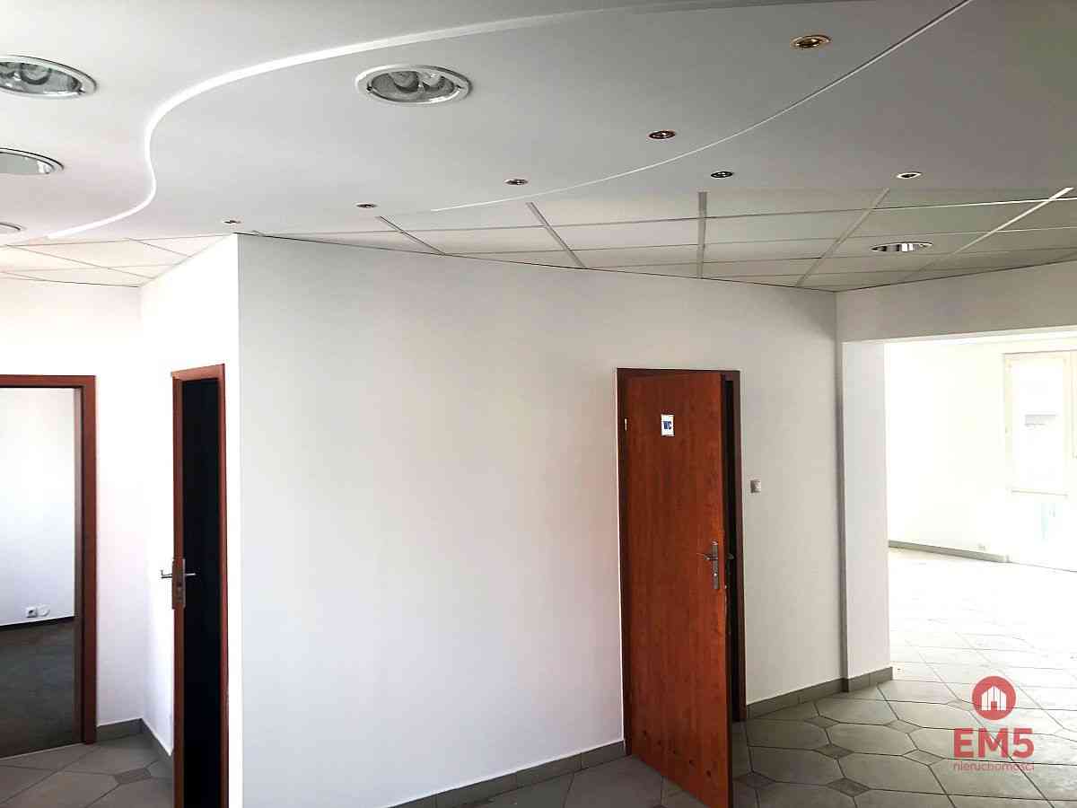 Ścisłe centrum 300 m2 parter plus piętro - zdjęcie 7