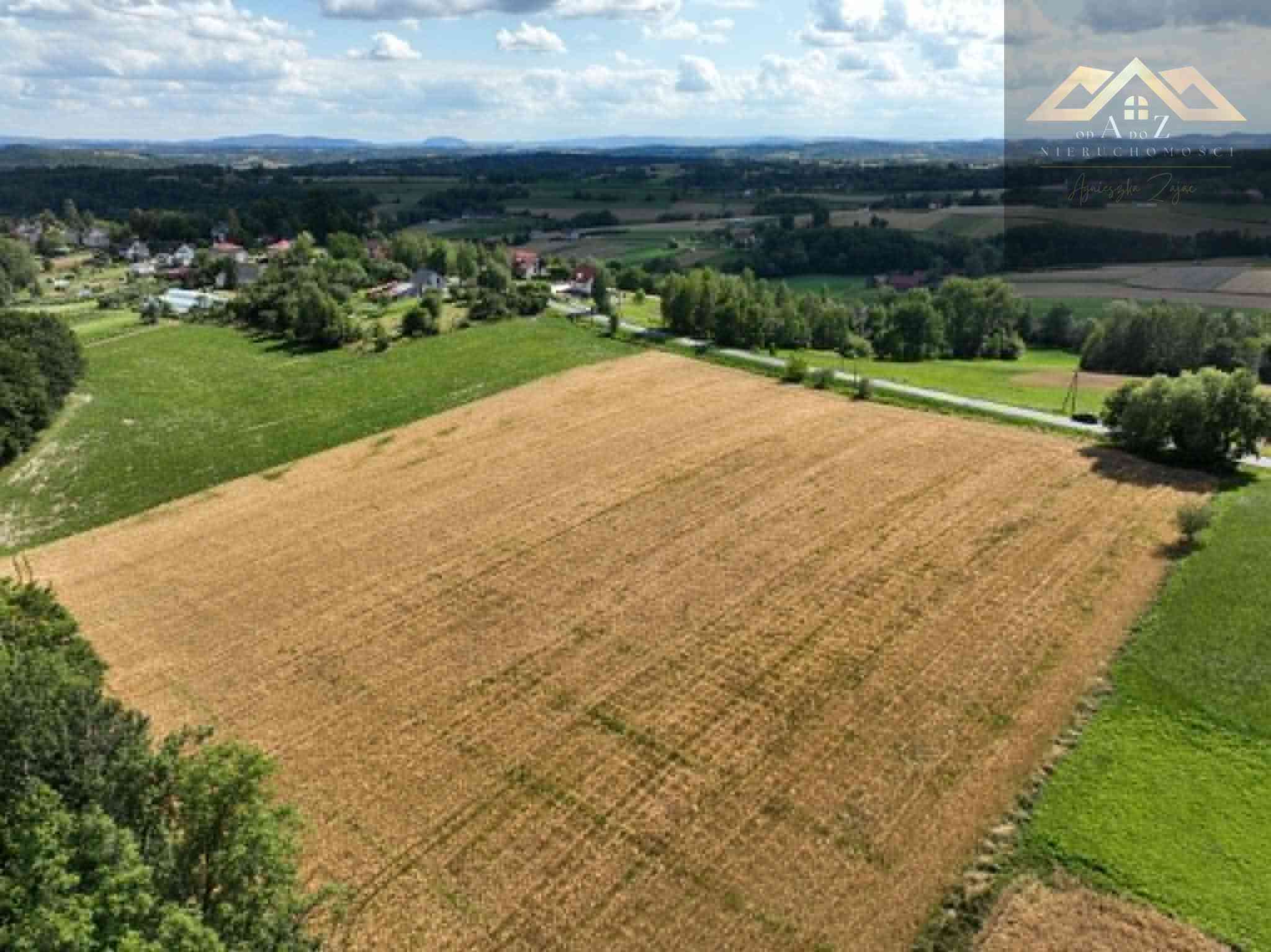 Budowlana 91 ar Lichwin gm. Pleśna, przy lesie - zdjęcie 6