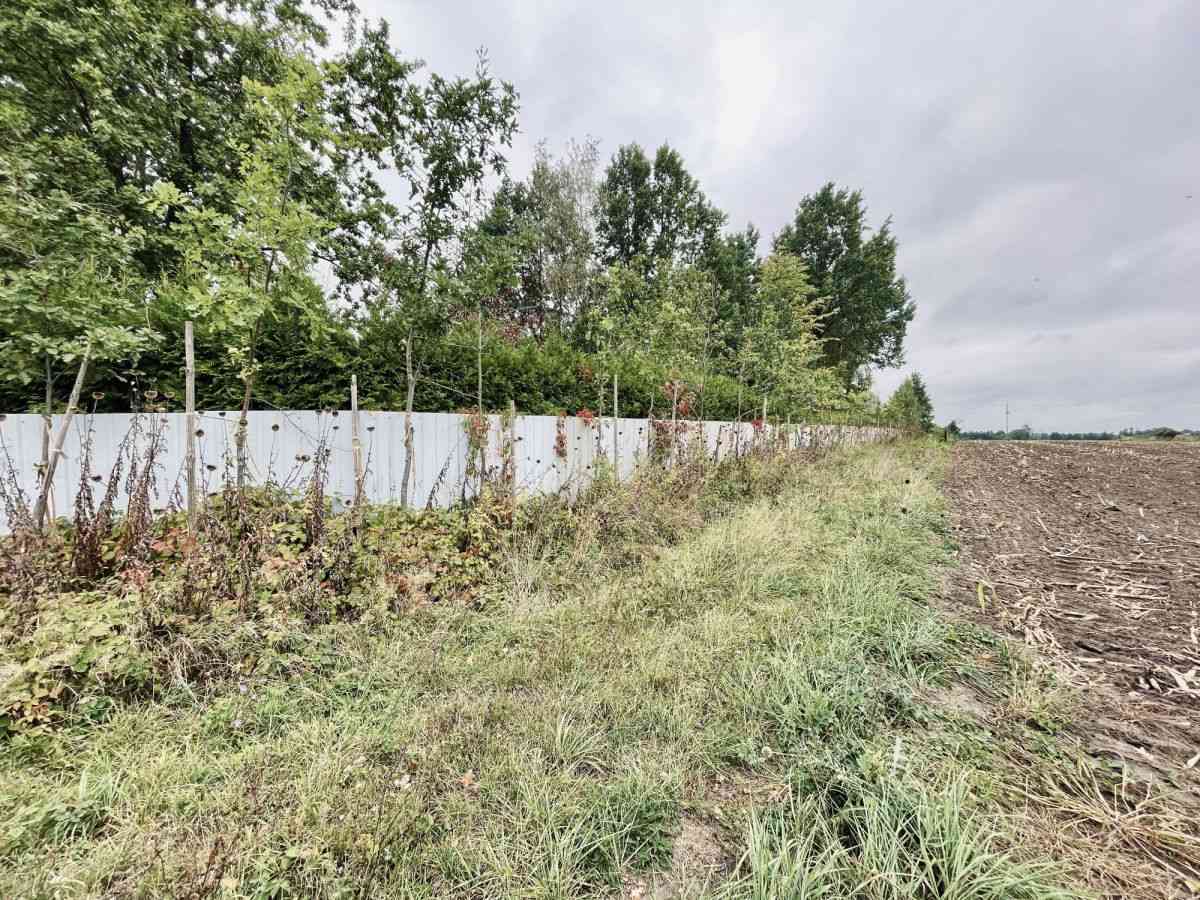 Działki budowlane 1000 m² | WZ + projekt domu - zdjęcie 17
