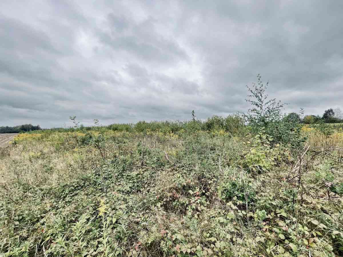 Działki budowlane 1000 m² | WZ + projekt domu - zdjęcie 12