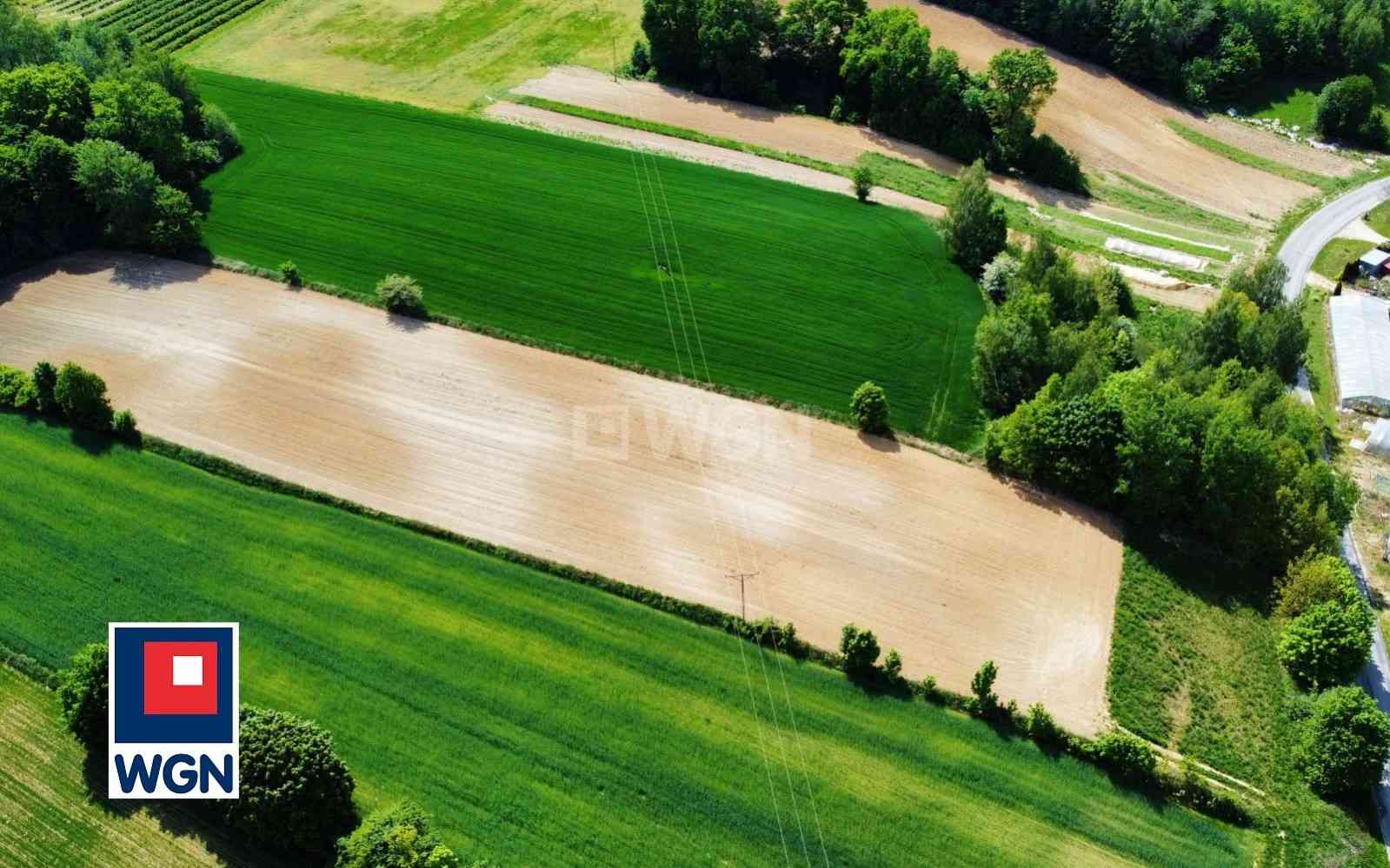 Działka na sprzedaż - Celejów, Celejów