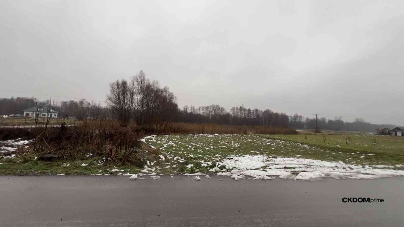 4,6 ha gruntu | Dom 150 m² | Las 0,5 ha | Duży pot - zdjęcie 21