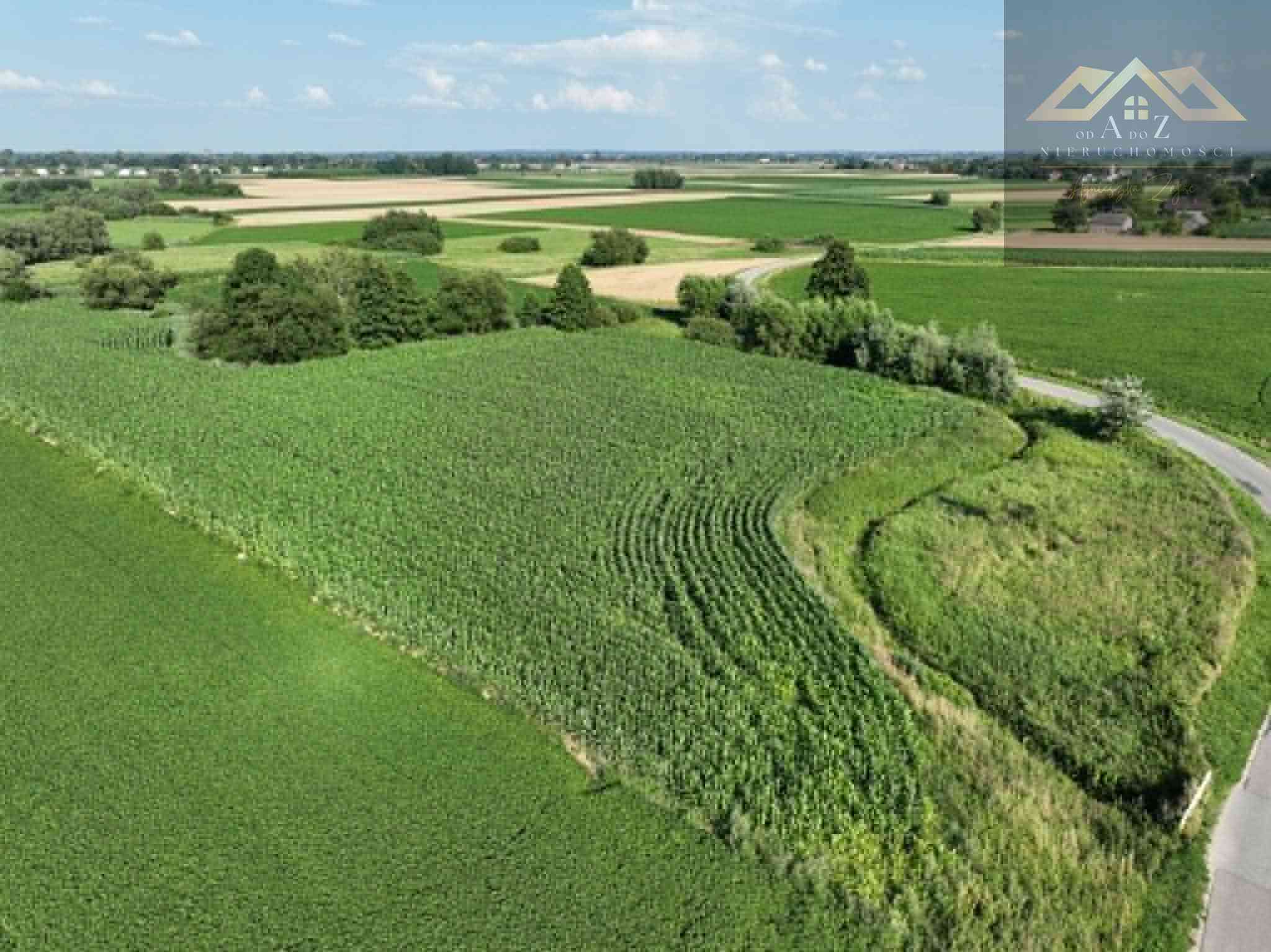 Działka rolna 80 arów w Miechowicach - zdjęcie 6