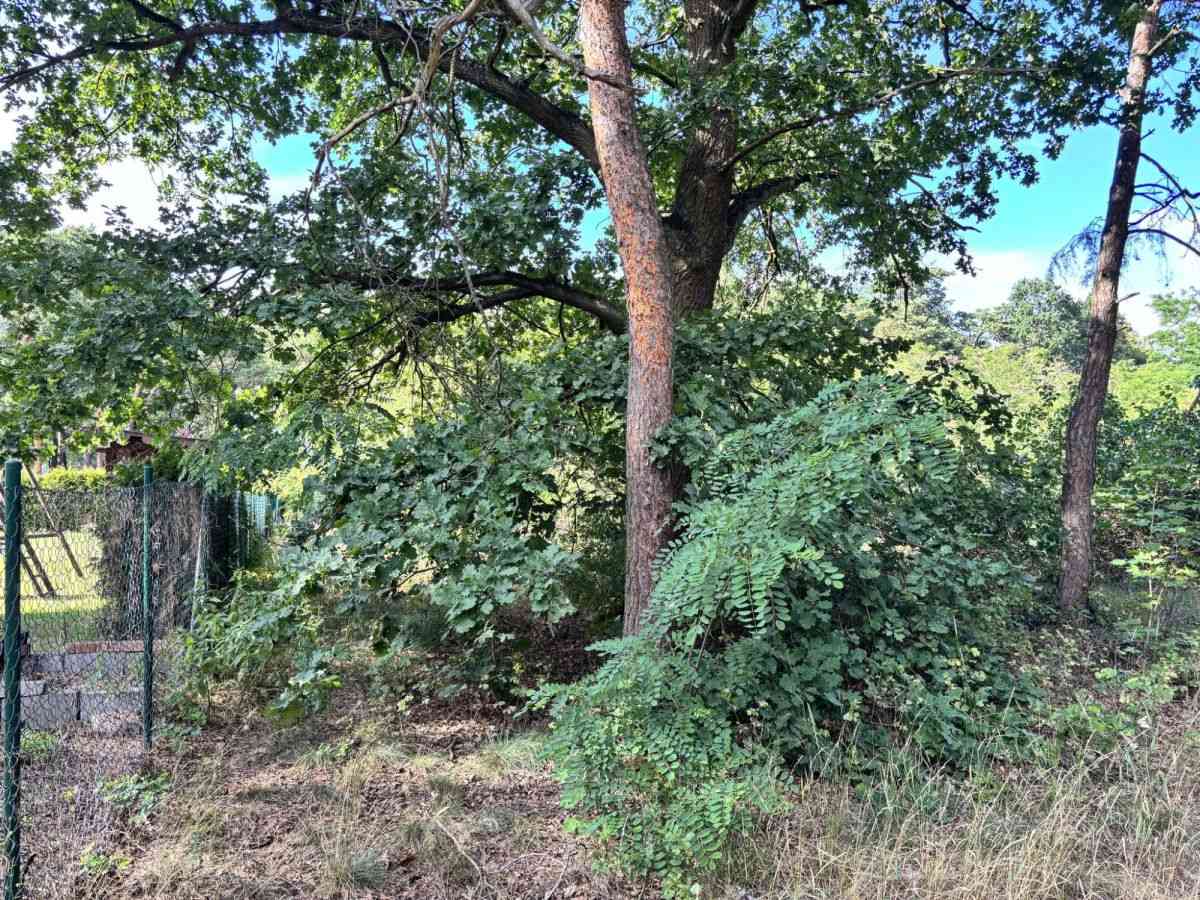 Żary 20min | Zielona Góra 30min | Media | MPZP | - zdjęcie 9