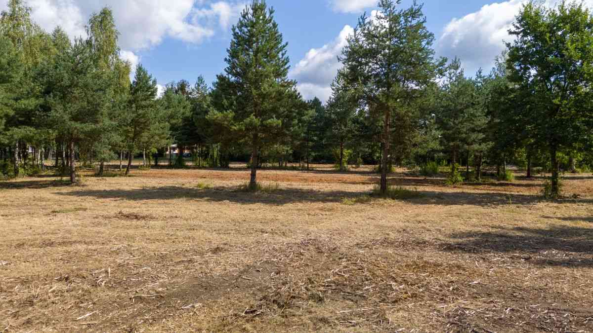 Działka budowlana Koszęcin 1117m2 Słowików - zdjęcie 19