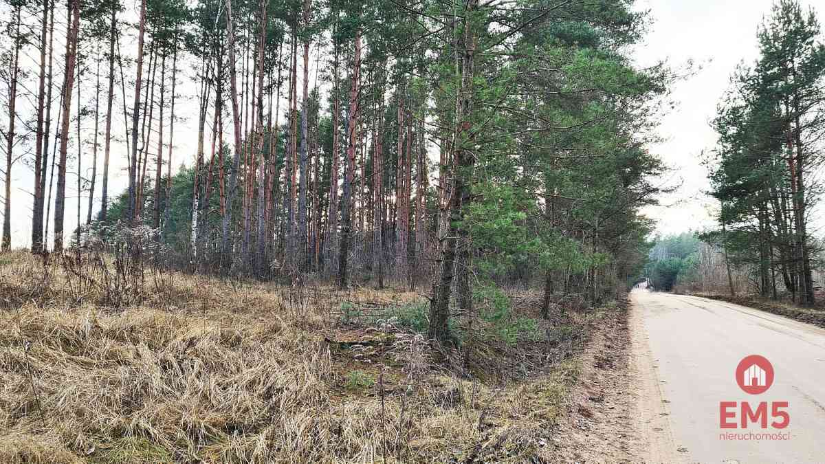 Działka 8500 m2, Jurowce - zdjęcie 3