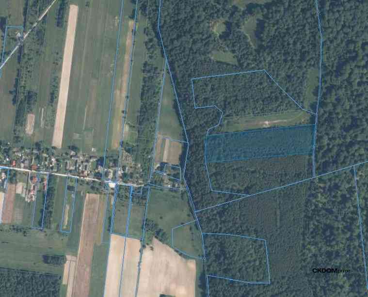 Działka inwestycyjna Cisów 22 500 m² - zdjęcie 4