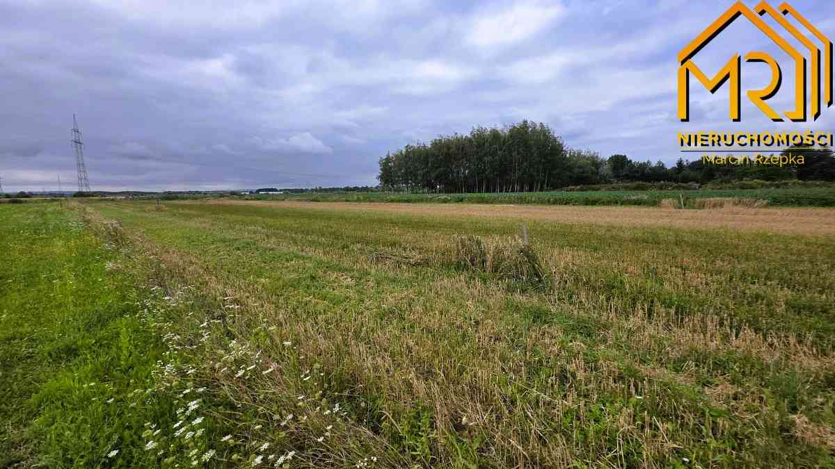 Działka z WZ w okolicy stawów – Łęg Tarnowski, gm. - zdjęcie 8