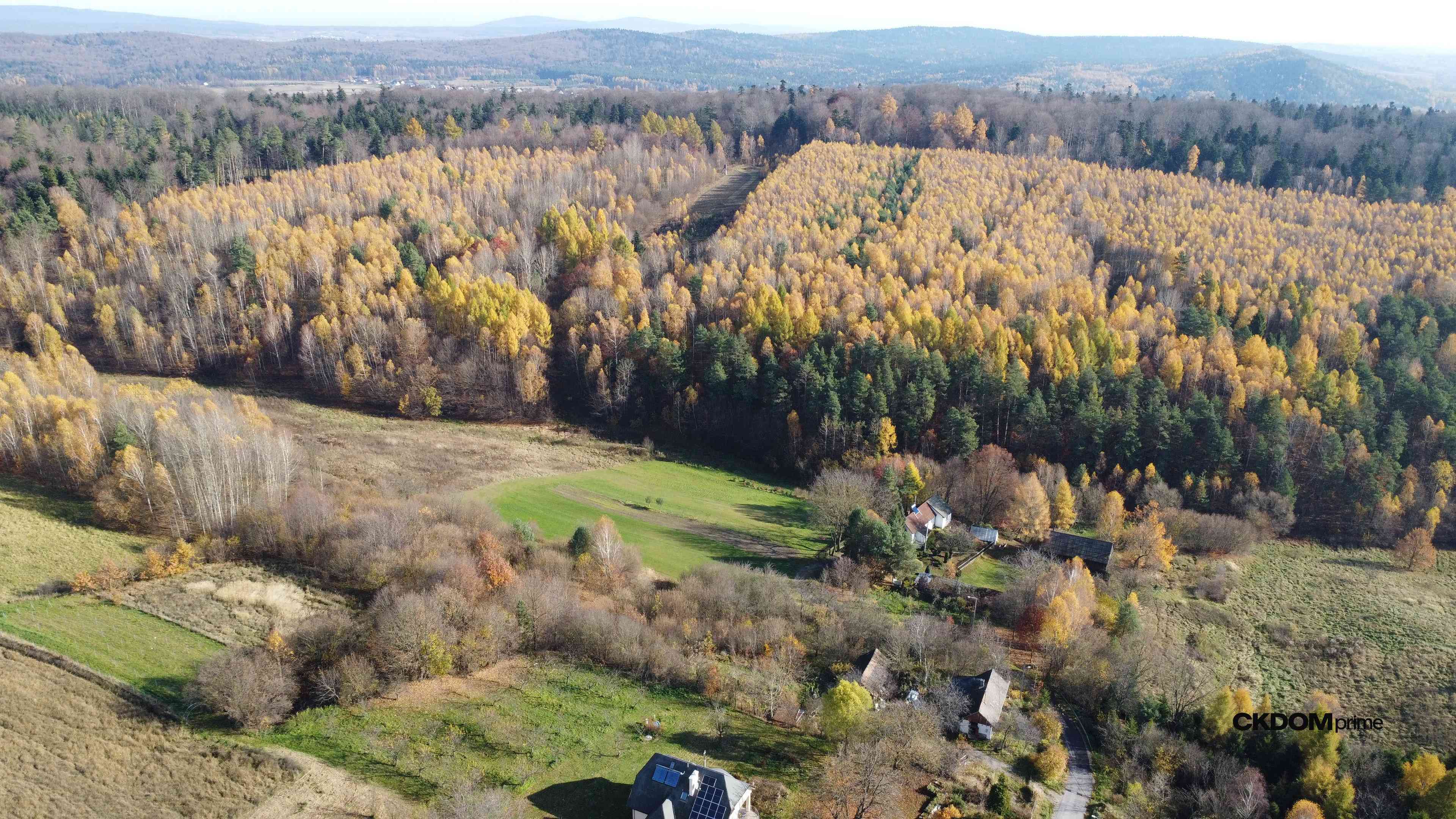 Działka inwestycyjna Cisów 22 500 m²