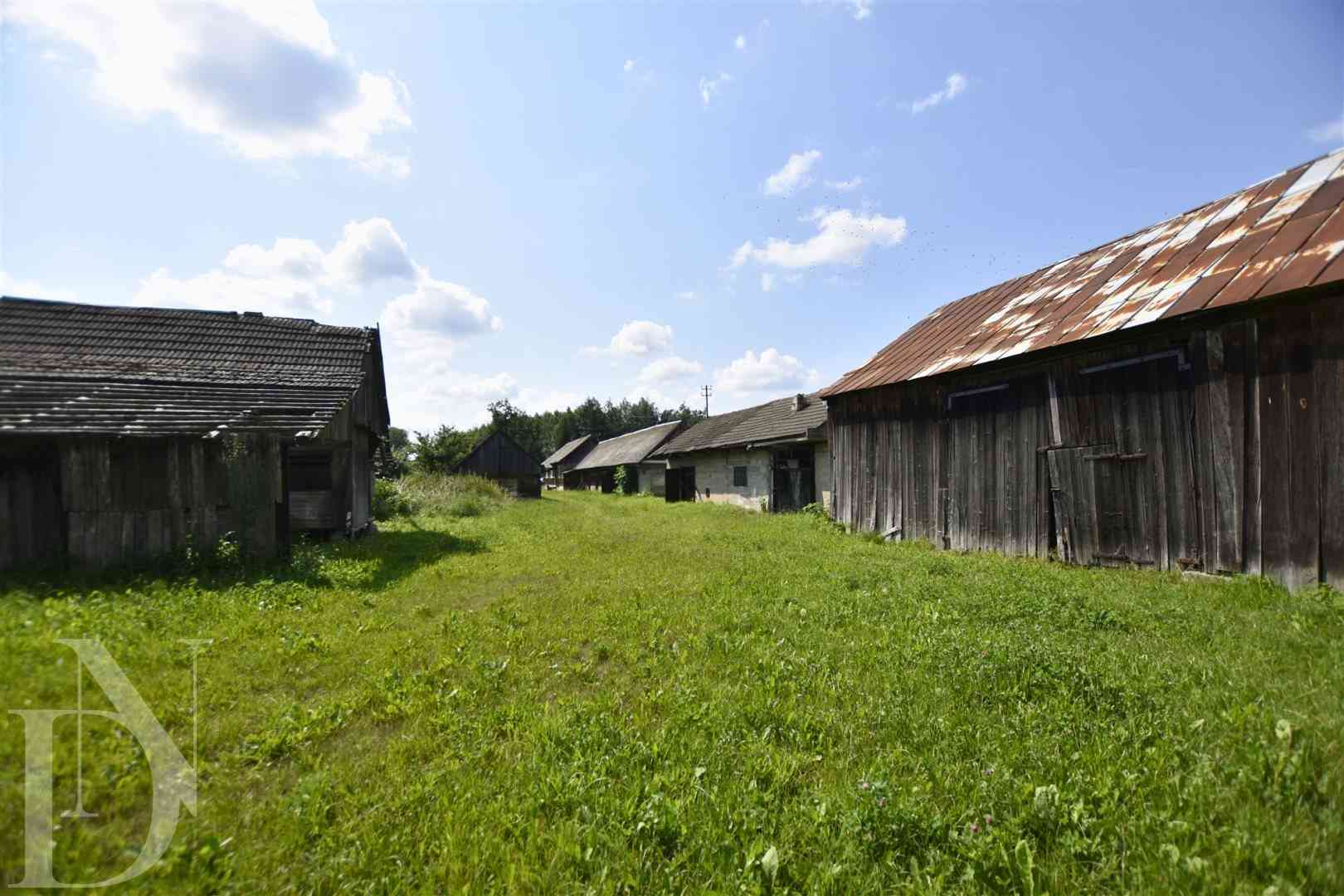 Siedlisko z dużą działką 5986 m² Czyże - zdjęcie 12