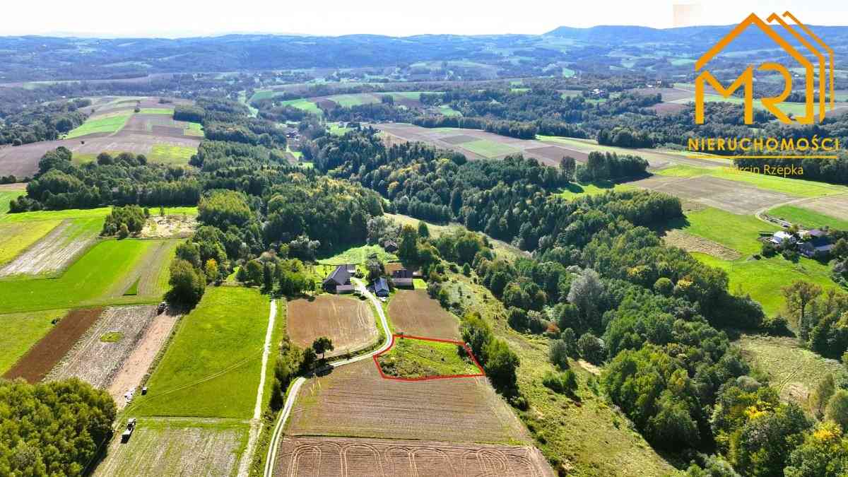 Działka WZ 12,55 ar – Brzeziny, gm. Wielopole Skrz - zdjęcie 1