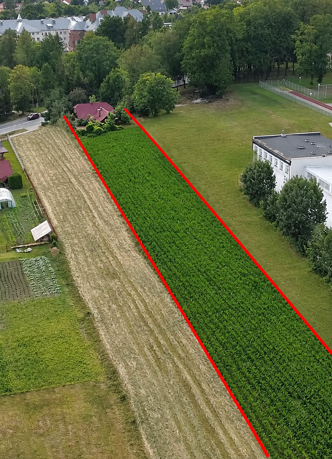 SPRZEDAM DOM  Z DZIAŁKĄ 89 ARÓW – MIEJSCE PIASTOWE, ATRAKCYJNA LOKALIZ - zdjęcie 1