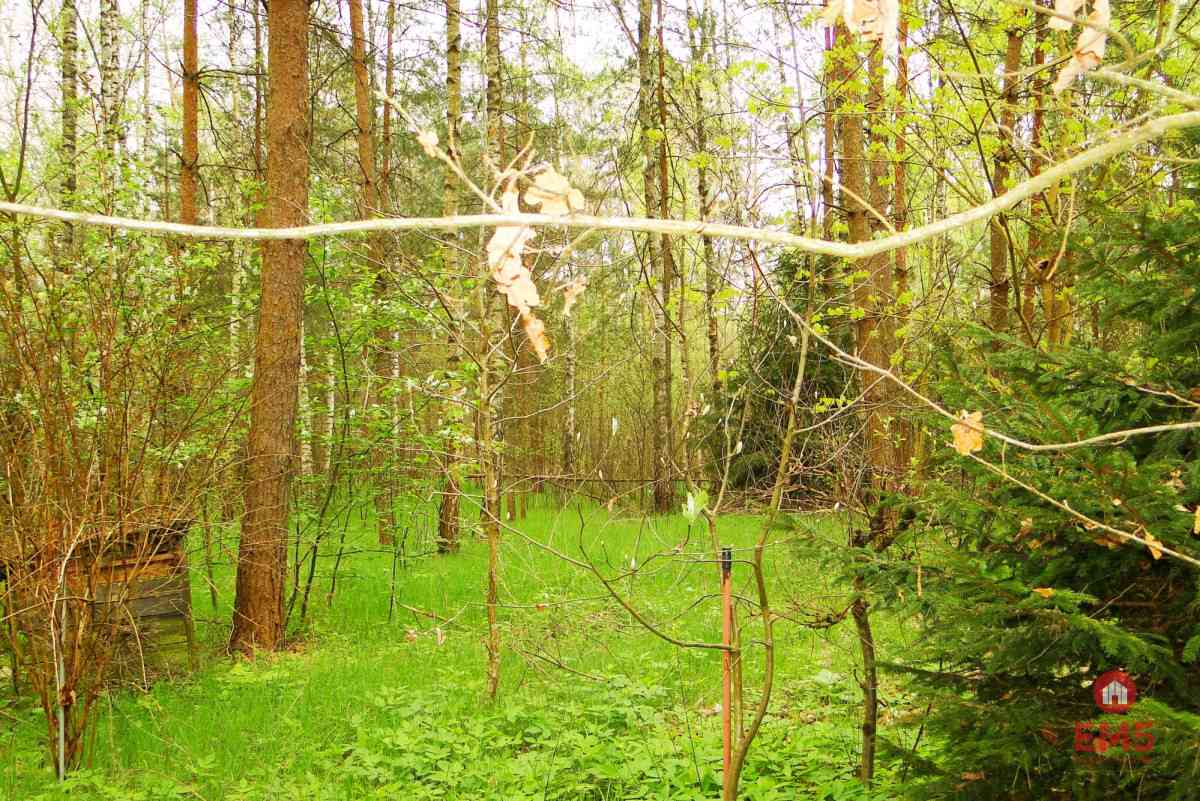 Działka rekreacyjno-budowlana 0,8 ha, pod miastem - zdjęcie 4
