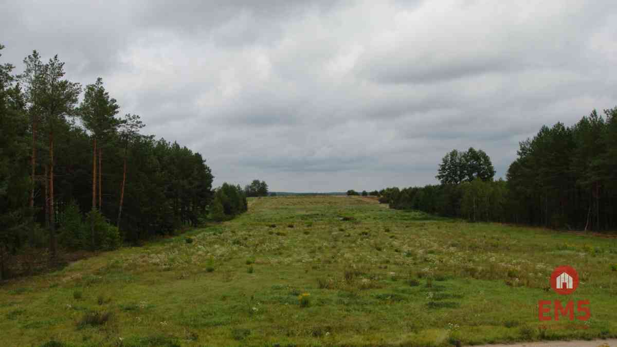 Dom w otoczeniu lasu | działka 2400 m² - zdjęcie 18