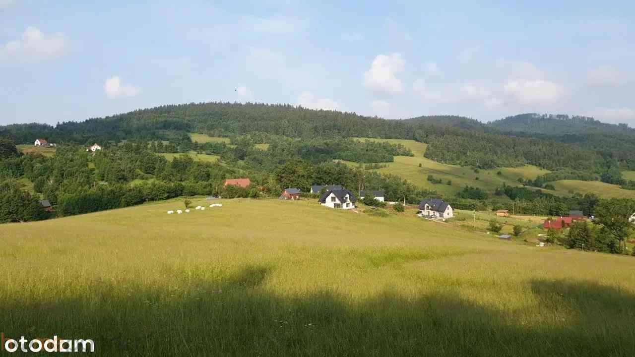 Działka w Górach Sowich - zdjęcie 11