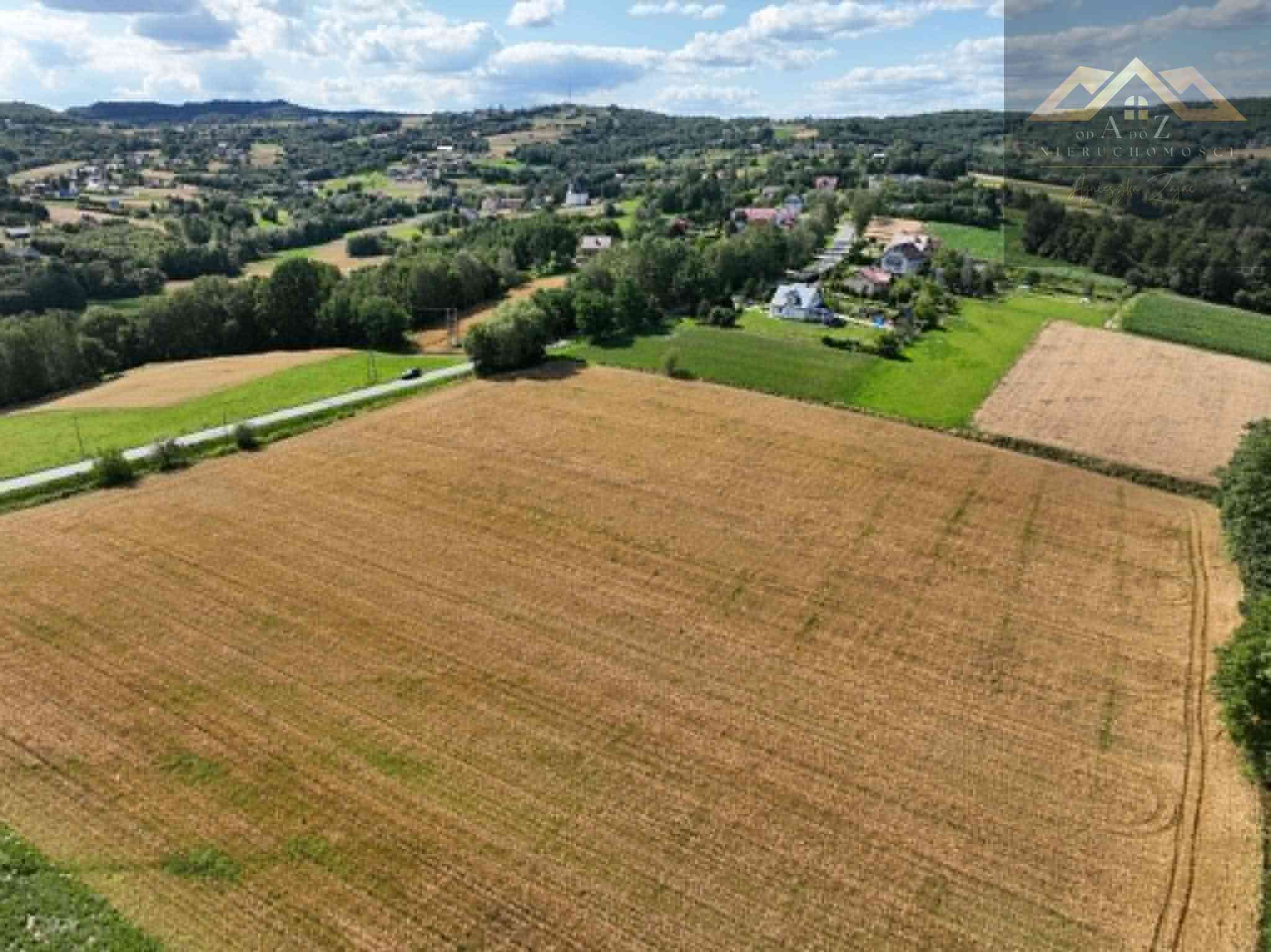 Budowlana 91 ar Lichwin gm. Pleśna, przy lesie - zdjęcie 14