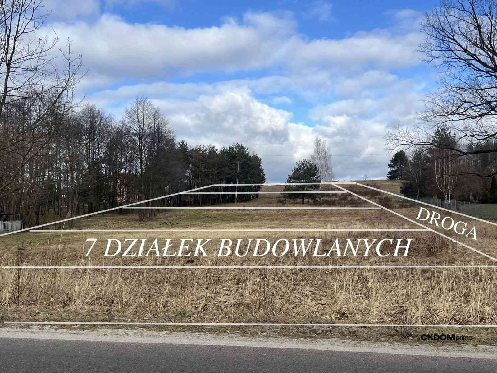 Wyjątkowa działka na sprzedaż – 1 ha w Rytwianach