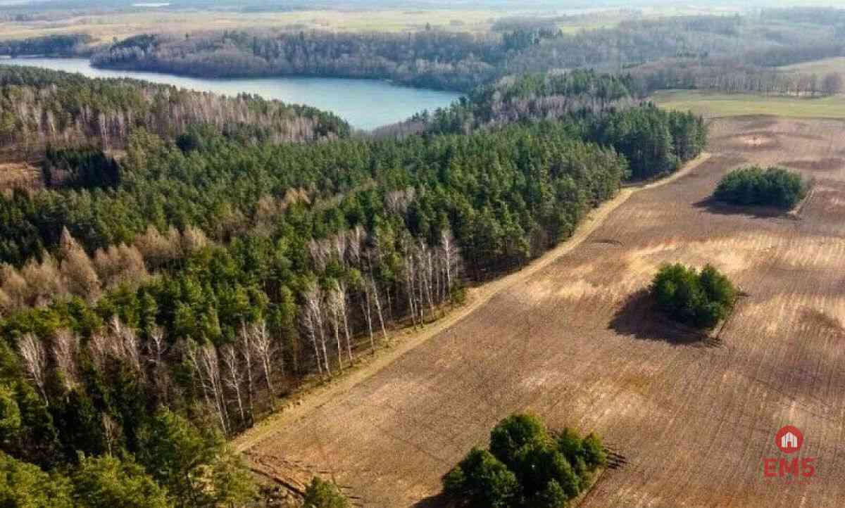 Mazury, jezioro Garbas, duża działka. - zdjęcie 5
