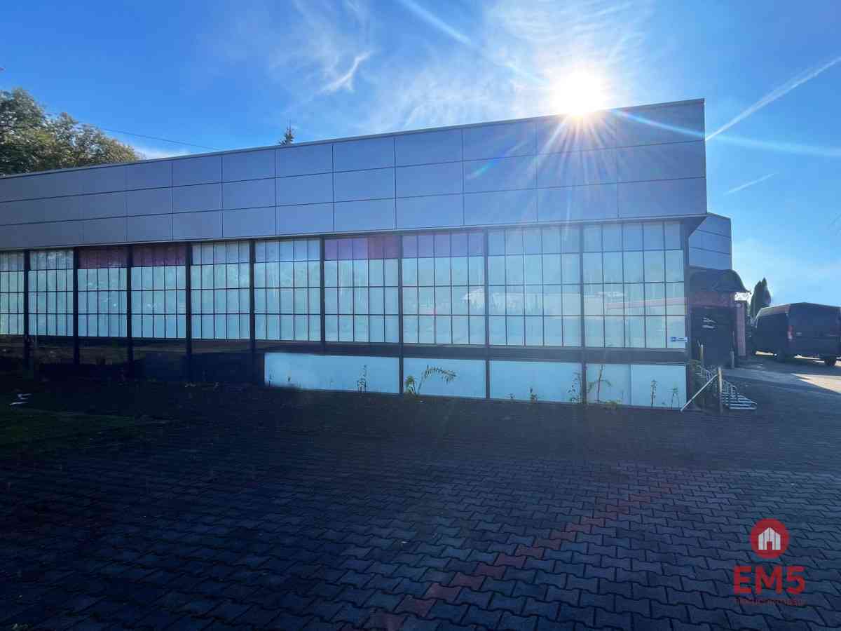 Budynek 800 m2  handel-usługi-produkcja - zdjęcie 3