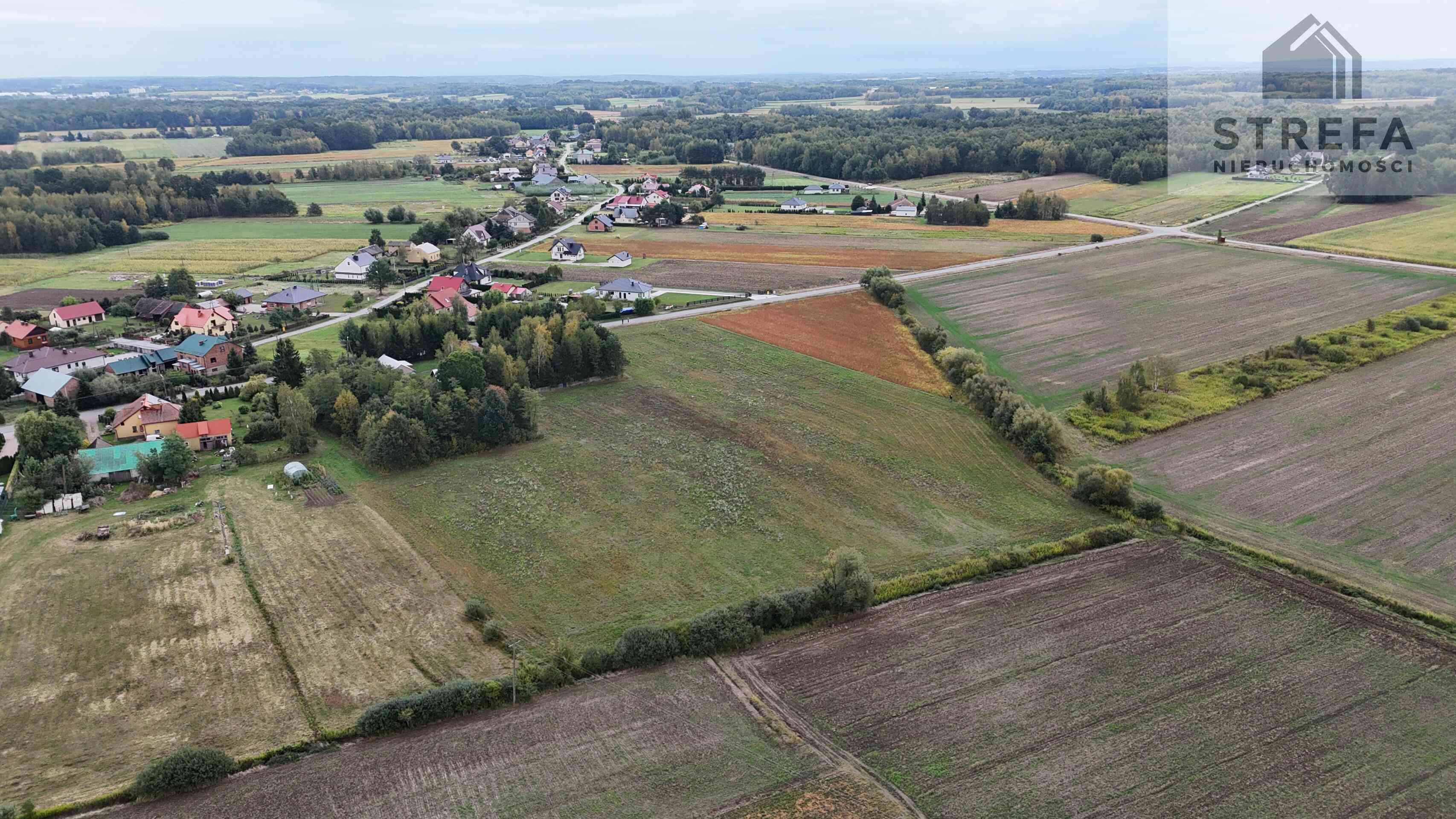 🏡 Działka budowlana 15,51a | Cicha okolica | Szybki dojazd do miast! Wielopole - zdjęcie 4