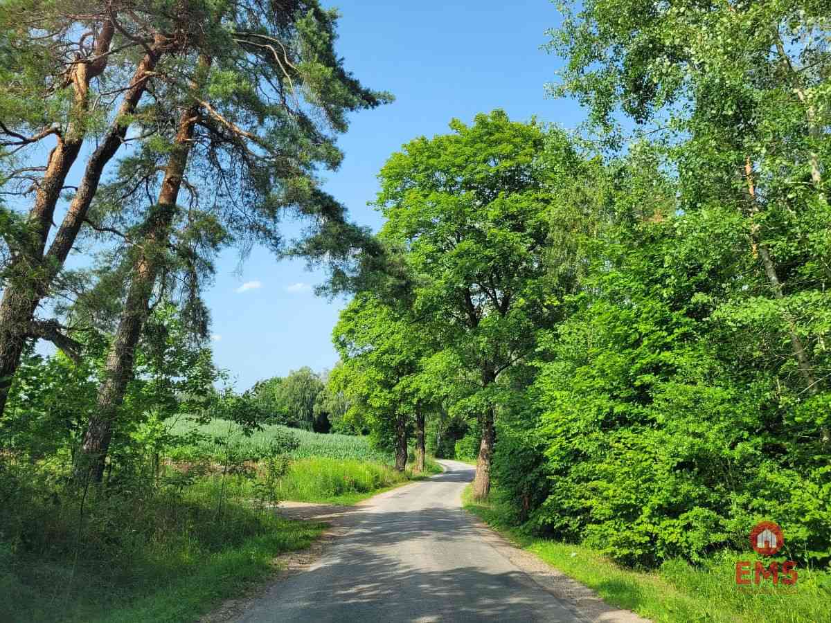 Mazury, jezioro Garbas, duża działka. - zdjęcie 3