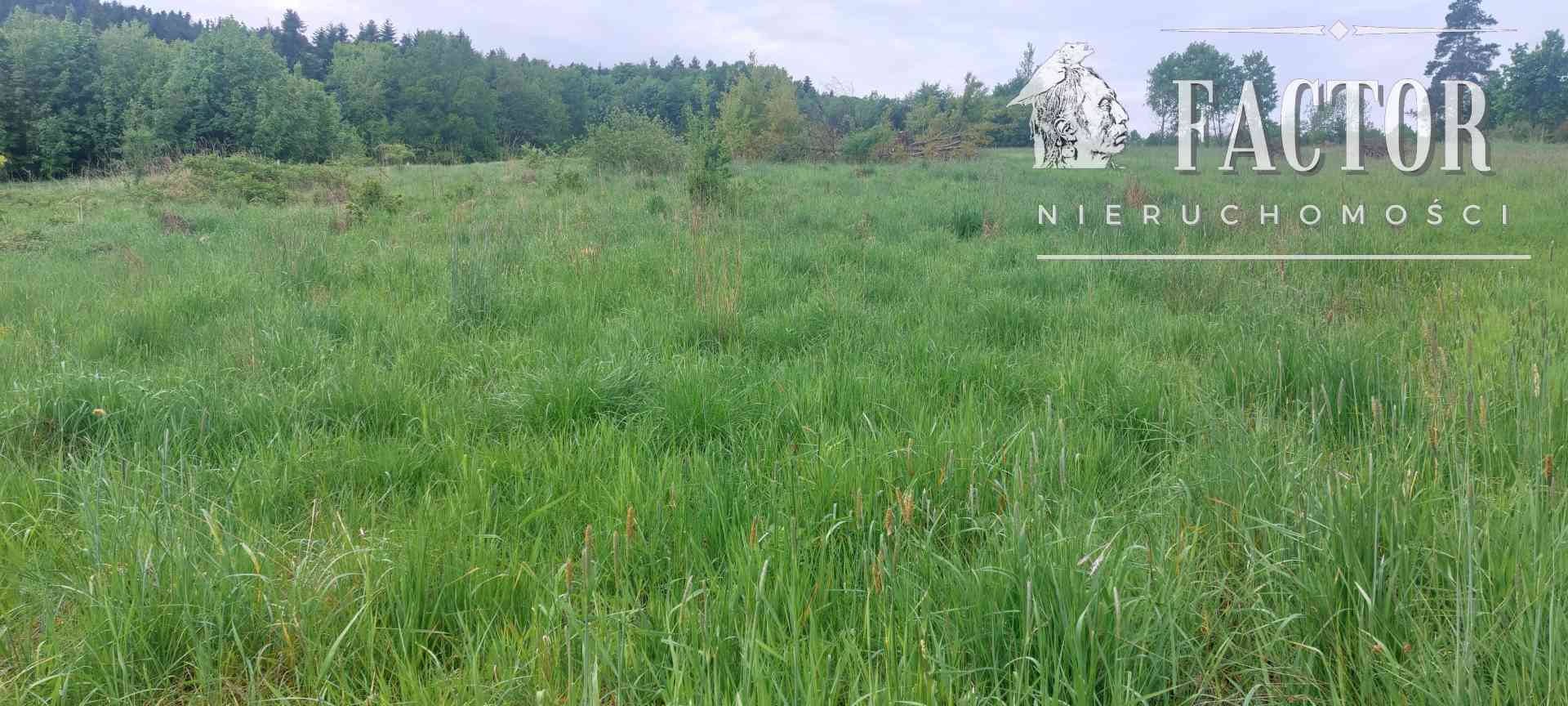 Siary działka budowlana 41,48 a 1148S - zdjęcie 2