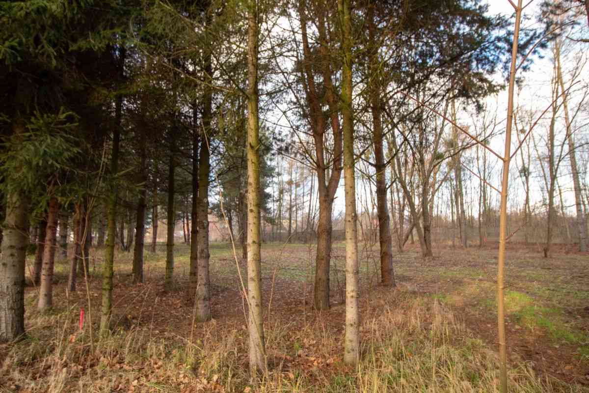 Działka budowlana Koszęcin 1024m2 ul. Słowików - zdjęcie 10