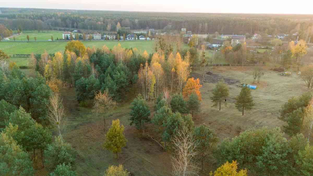 Działka budowlana Koszęcin ul. Słowików 1099m2 - zdjęcie 6