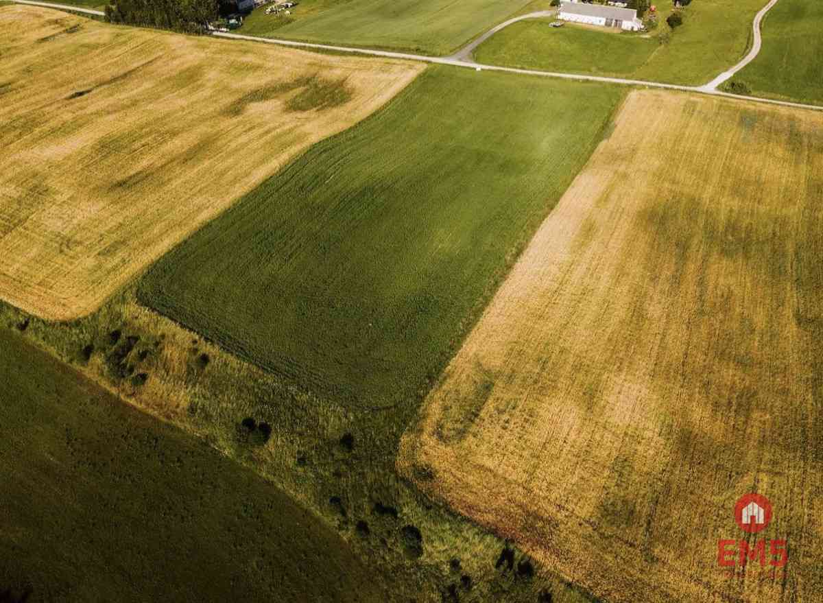 Działka - Żegary, gm. Sejny - zdjęcie 6