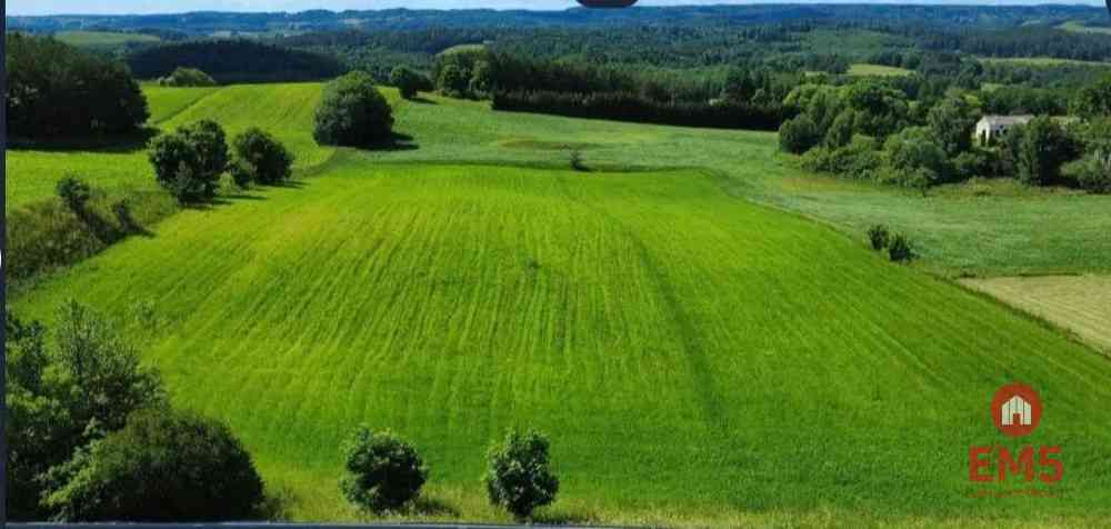 ATRAKCYJNA DZIAŁKA 8 964 m² – GULBIENISZKI - zdjęcie 2