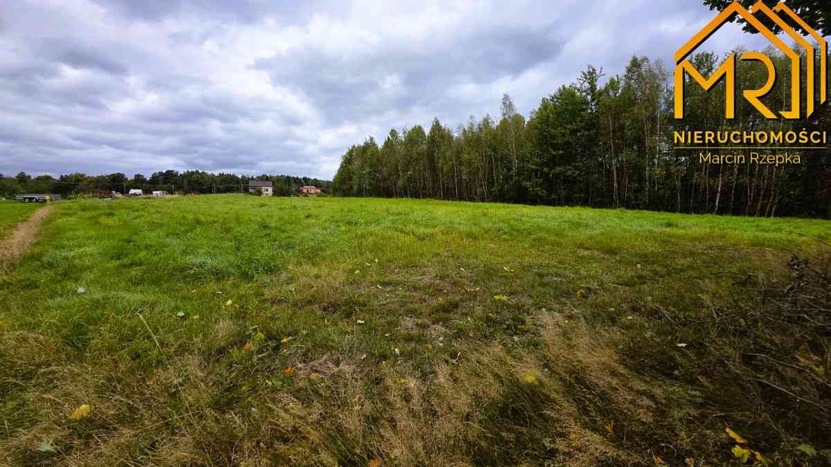 1 ha działki rolnej w gminie Szerzyny  - zdjęcie 11