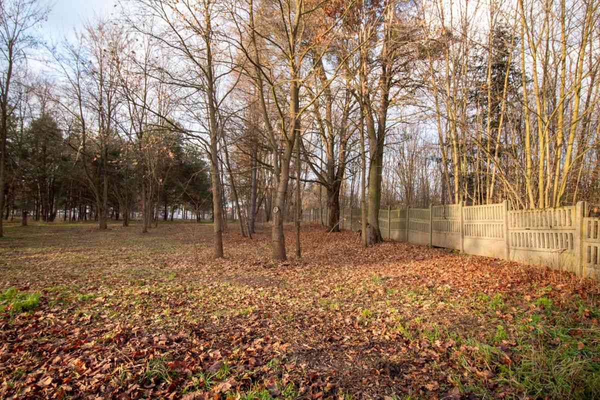 Działka budowlana Koszęcin 1024m2 ul. Słowików - zdjęcie 13