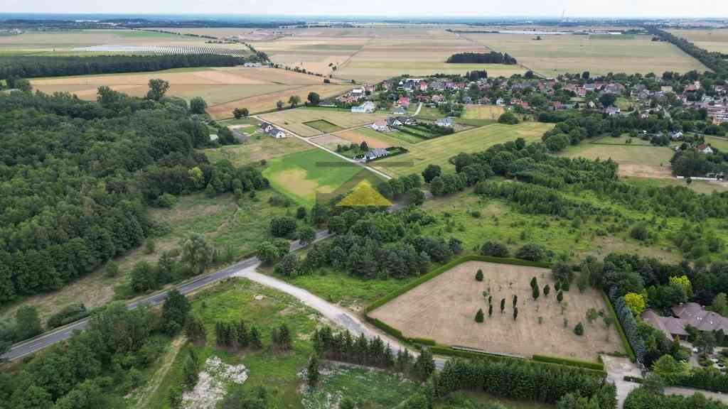Działka pod hotel, restauracje, warsztat, usługi! - zdjęcie 4