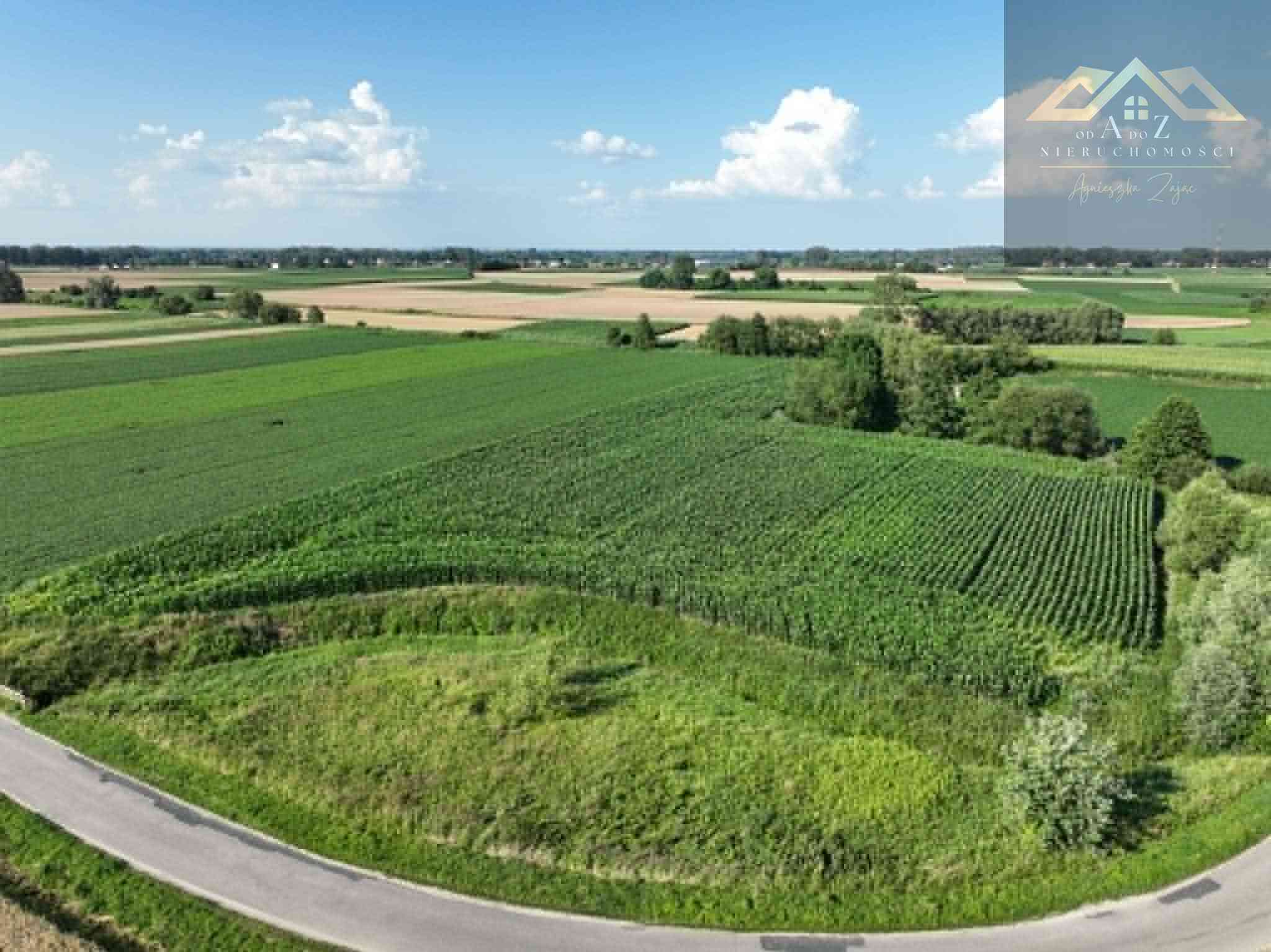 Działka rolna 80 arów w Miechowicach - zdjęcie 10