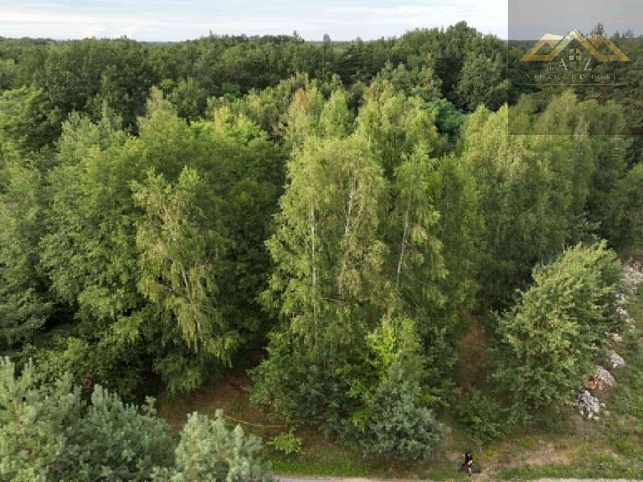 Działka w WZ i prywatnym lasem - zdjęcie 10