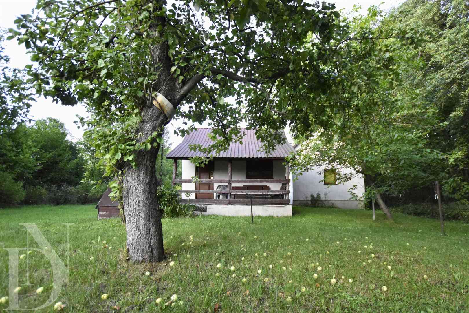 Zamieszkaj tam, gdzie króluje natura Krzywiec - zdjęcie 5