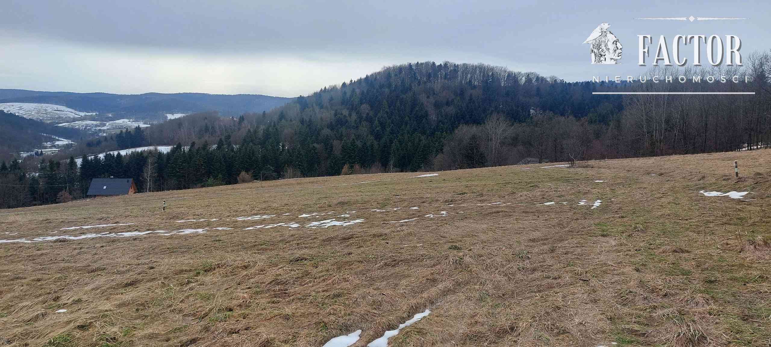 Siary działka budowlano-rolna 0,53 ha 1169S - zdjęcie 6