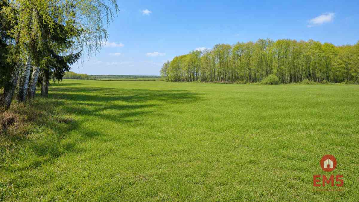 Działka budowlana 2160 m2. Nowosiółki - zdjęcie 3