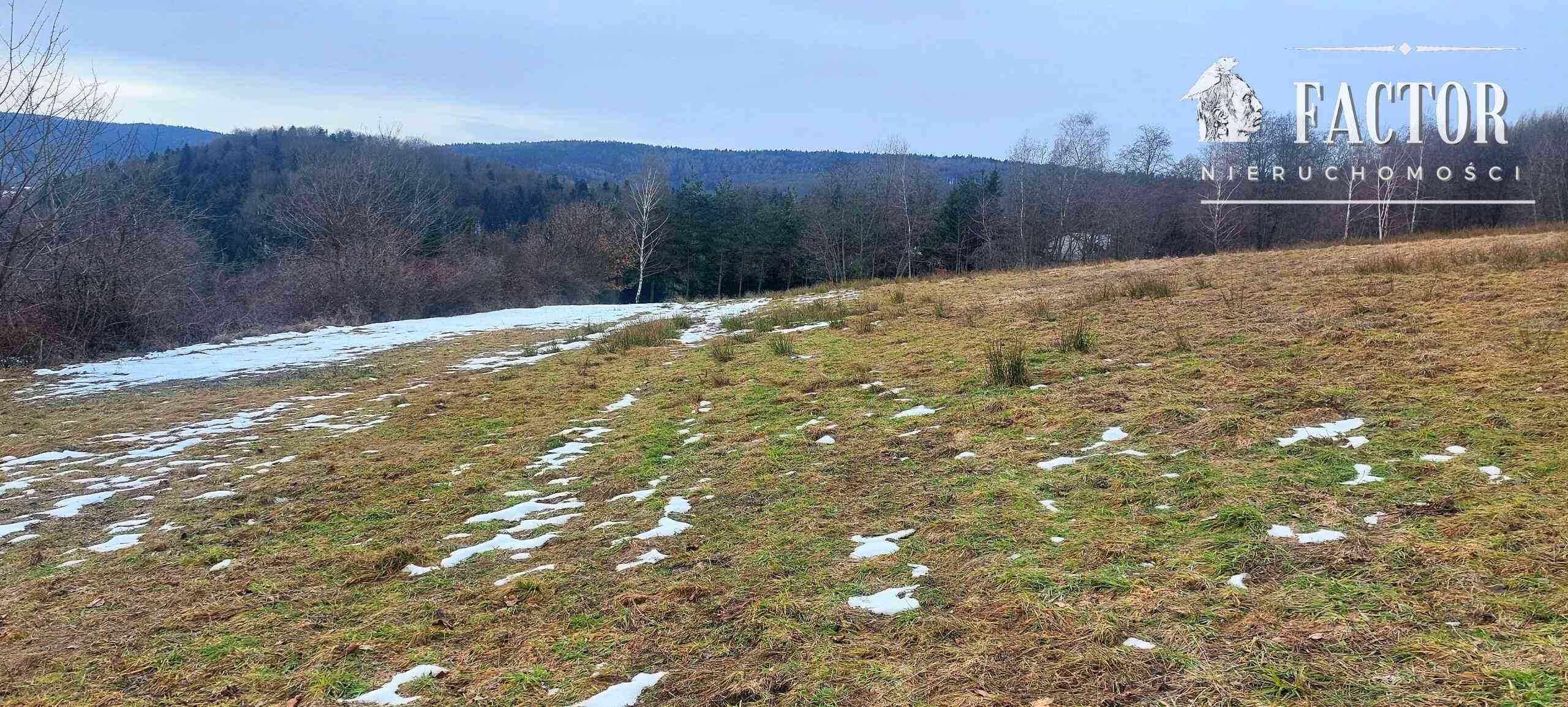 Działka budowlana na sprzedaż, Siary, Sękowa - zdjęcie 2