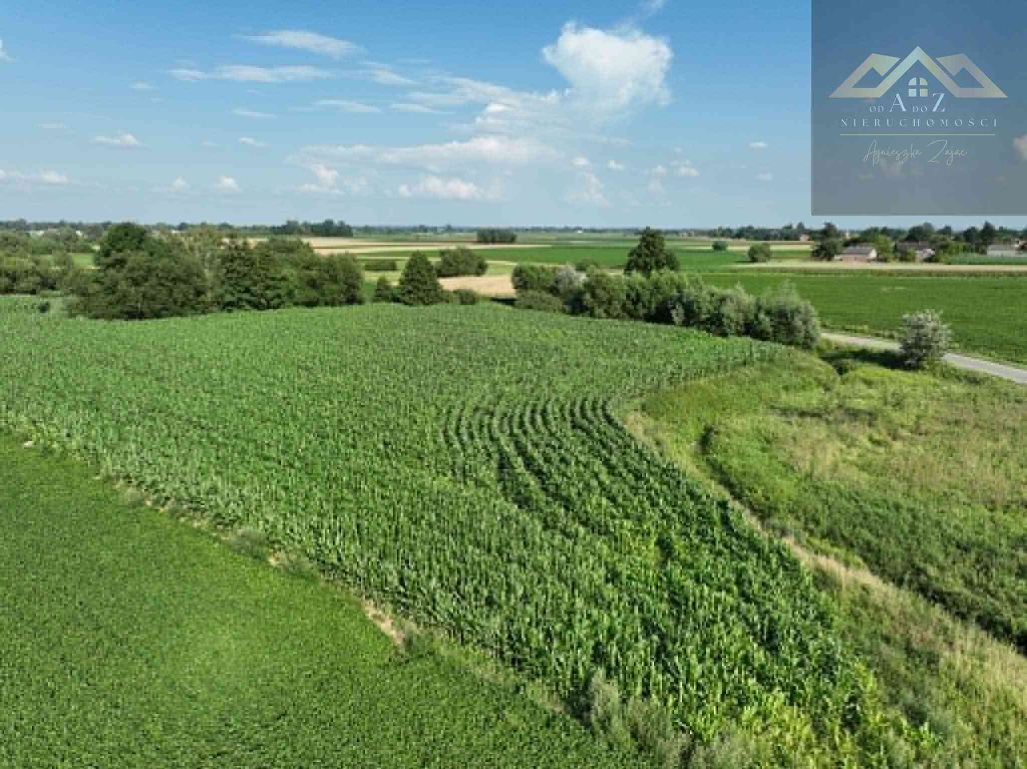Działka rolna 80 arów w Miechowicach - zdjęcie 5