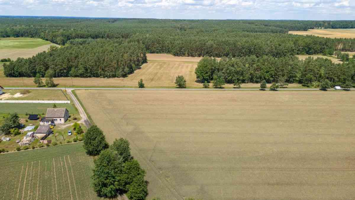Działka Zborowskie gaz kanalizacja woda blisko las - zdjęcie 27