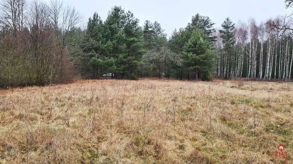 Działka 1900 m2. Pieńki - zdjęcie 8