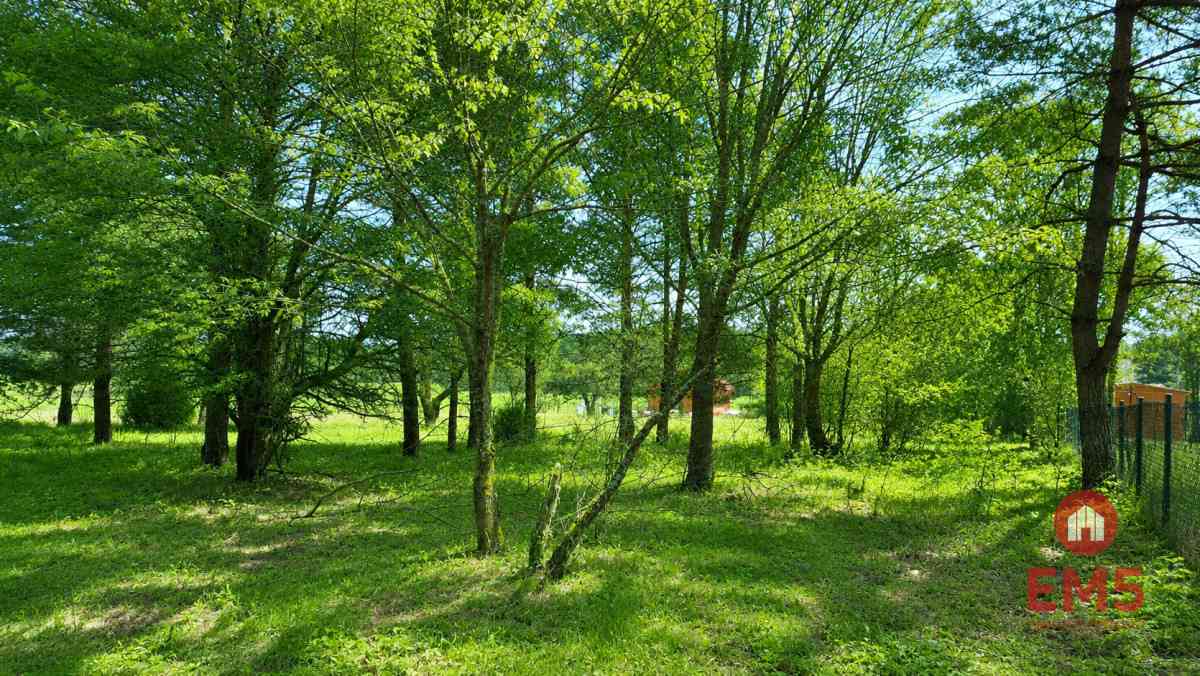 Działka 1792 m2, Pieńki - zdjęcie 3