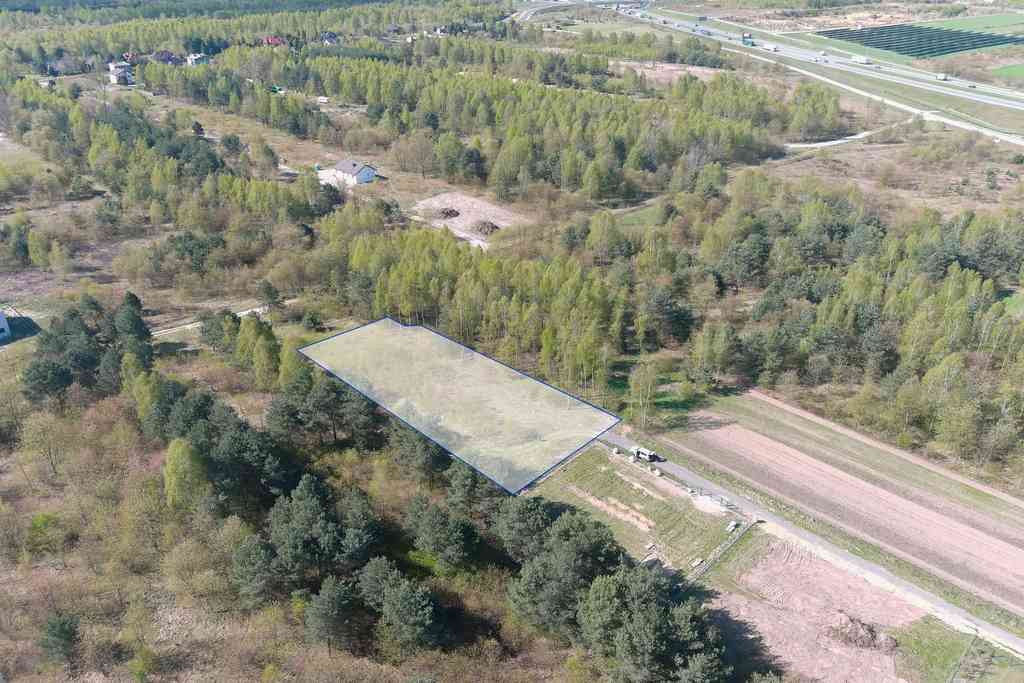 Nowa Gorzelnia k.Blachowni | Działka na sprzedaż - zdjęcie 4
