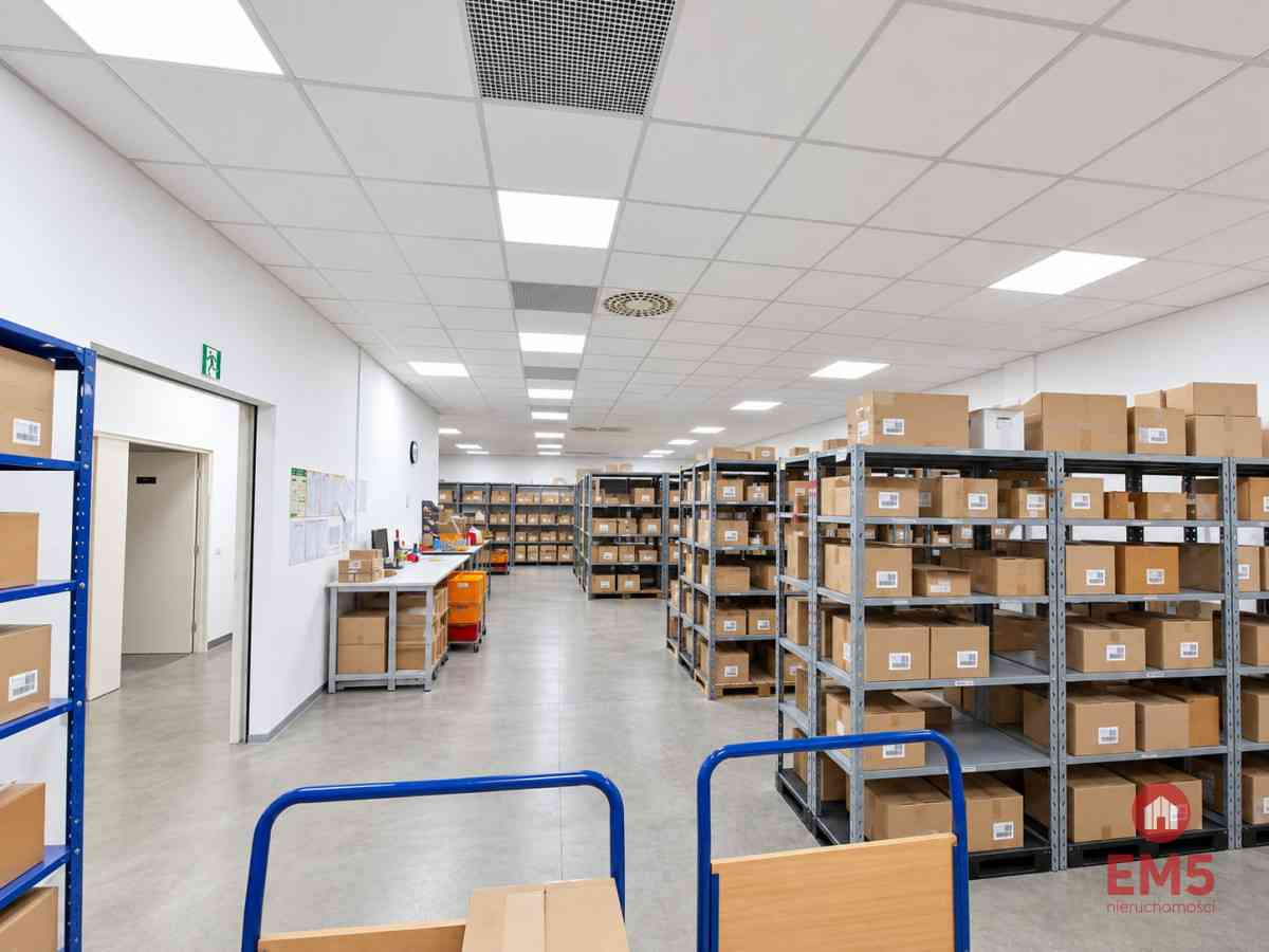 Lokal użytkowy 262 m2 - zdjęcie 2