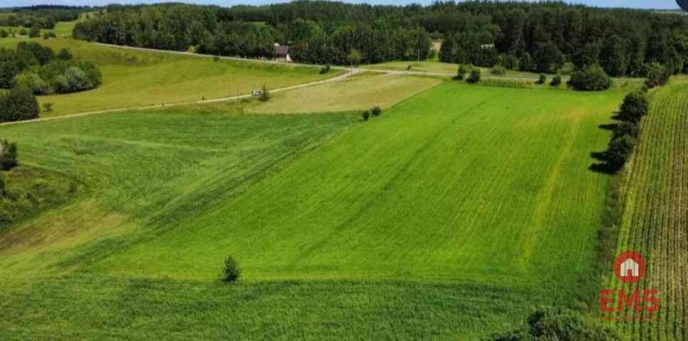 ATRAKCYJNA DZIAŁKA 8 964 m² – GULBIENISZKI - zdjęcie 4