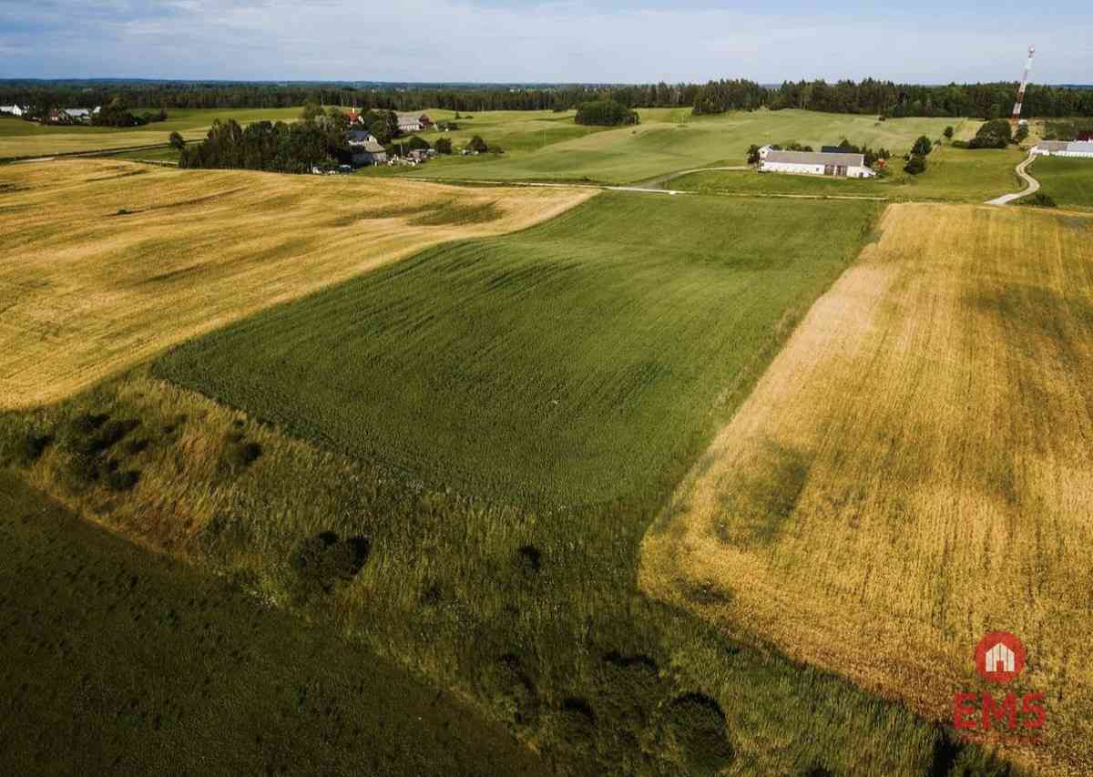 Działka - Żegary, gm. Sejny - zdjęcie 5